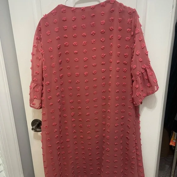 Fashian Collection Rose V-Neck Dress - Picture 5 of 10